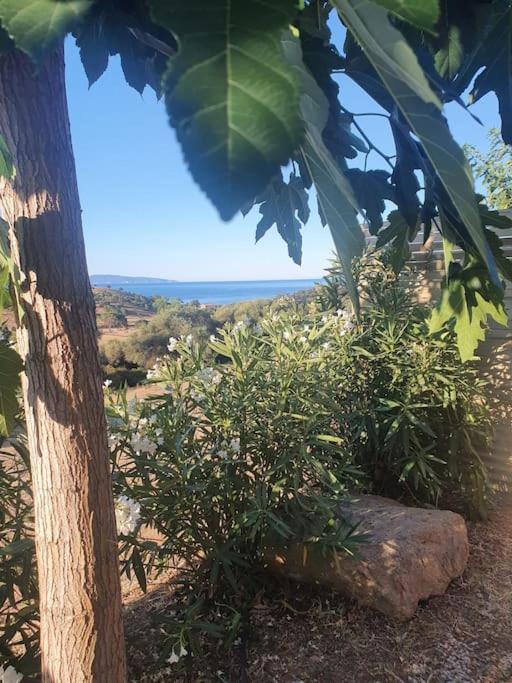 Studio Mitoyen A La Campagne Vue Sur La Mer Cargèse Eksteriør bilde